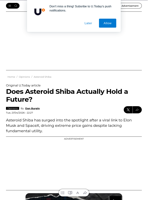 Does Asteroid Shiba Actually Hold a Future? - U.Today
