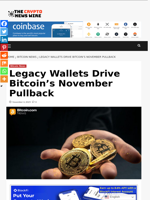 Legacy Wallets Drive Bitcoin’s November Pullback - The Crypto News Wire