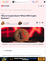Why is Crypto Down? When Will Crypto Recover? - 99Bitcoins