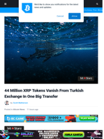 Crypto Whale Send Message With Massive 44M XRP Transfer