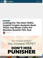 Looking For The Next 1000x Crypto? Crypto Analysts Back These Top Meme Coins For Massive Growth This Year - TechBullion