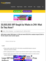30,000,000 XRP Bought by Whales in 24H: What Do They Know?