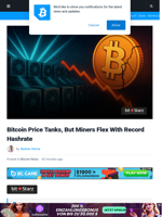 Bitcoin Price Tanks, But Miners Flex With Record Hashrate