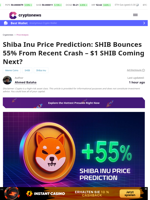 Shiba Inu Price Prediction: SHIB Rebounds 55% From Crash