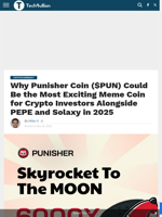 Why Punisher Coin ($PUN) Could Be the Most Exciting Meme Coin for Crypto Investors Alongside PEPE and Solaxy in 2025 - TechBullion