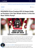 MOONPIG Price Crashes 65% as KAS Holds Strong & PUN Whale Action Sparks 1000x Buzz