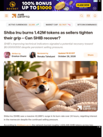 Shiba Inu burns 1.42M tokens as sellers tighten their grip – Can SHIB recover? - AMBCrypto