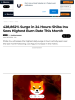 428,862% Surge in 24 Hours: Shiba Inu Sees Highest Burn Rate This Month - U.Today