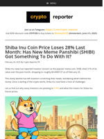 Shiba Inu Coin Price Loses 28% Last Month: Has New Meme Panshibi (SHIBI) Got Something To Do With It?