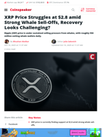 XRP Hits $2.8 But Whales Dump — Can It Recover?