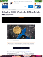 Shiba Inu (SHIB) Whales Go Offline: Details