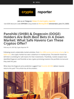 Panshibi (SHIBI) & Dogecoin (DOGE) Holders Are Both Best Bets In A Down Market: What Safe Havens Can These Cryptos Offer?