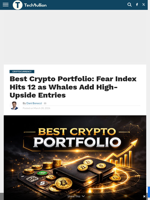 Best Crypto Portfolio: Fear Index Hits 12 as Whales Add High-Upside Entries - TechBullion