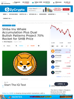 Shiba Inu Whale Accumulation Plus Dual Bullish Patterns Project 70% Rocket for SHIB Price ⋆ ZyCrypto