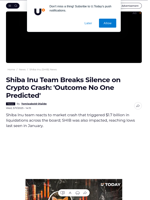 Shiba Inu Team Breaks Silence on Crypto Crash: 'Outcome No One Predicted' - U.Today