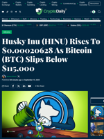 Husky Inu (HINU) Rises To $0.00020628 As Bitcoin (BTC) Slips Below $115,000 - Crypto Daily