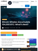 Bitcoin Whales Accumulate 104,000 BTC: What's Next? | Live Bitcoin News