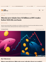 Bitcoin new whales lose $1 billion as BTC trades below $110.8K cost basis - AMBCrypto
