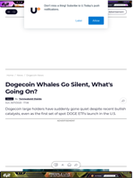 Dogecoin Whales Go Silent, What's Going On? - U.Today