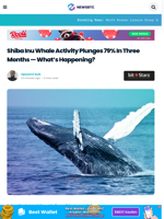 Shiba Inu Whale Activity Plunges 79% In Three Months — What's Happening?