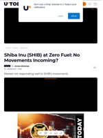 Shiba Inu (SHIB) at Zero Fuel: No Movements Incoming? - U.Today