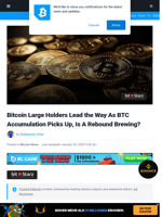 Bitcoin Large Holders Lead the Way As BTC Accumulation Picks Up, Is A Rebound Brewing? | Bitcoinist.com