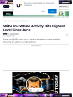 Shiba Inu Whale Activity Hits Highest Level Since June - U.Today