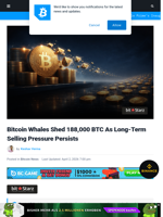 Bitcoin Whales Shed 188K BTC As Long-Term Pressure Persists