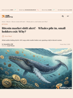 Bitcoin market shift alert! - Whales pile in, small holders exit: Why? - AMBCrypto