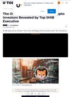 The Only Winning Strategy for Crypto Investors Revealed by Top SHIB Executive