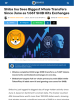 Shiba Inu Whales Surge as Shibarium Plans Privacy Push