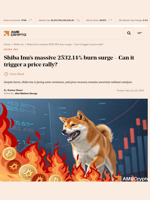 Shiba Inu's massive 2532.14% burn surge - Can it trigger a price rally? - AMBCrypto