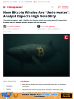 New BTC Whales Underwater — Volatility Ahead?