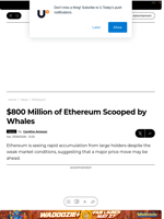 $800 Million of Ethereum Scooped by Whales - U.Today