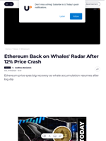 Ethereum Back on Whales' Radar After 12% Price Crash - U.Today
