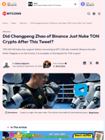TON USD Dumping, Partly Blame Binance Founder?