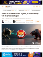 Shiba Inu flashes mixed signals, but which way will its price really go? - AMBCrypto
