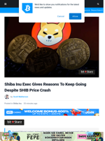 Shiba Inu Exec Gives Reasons To Keep Going Despite SHIB Price Crash | Bitcoinist.com