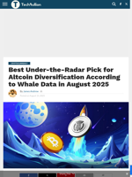 Best Under-the-Radar Pick for Altcoin Diversification According to Whale Data in August 2025 - TechBullion