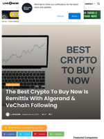 The Best Crypto To Buy Now Is Remittix With Algorand & VeChain Following | Live Bitcoin News