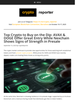Top Crypto to Buy on the Dip: AVAX & DOGE Offer Great Entry While Nexchain Shows Signs of Strength in Presale