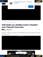 Will Shiba Inu (SHIB) Crash? 2 Bullish and 1 Bearish Scenario - U.Today