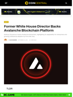 Former White House Director Backs Avalanche Blockchain Platform