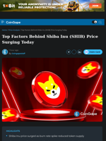 Top Factors Behind Shiba Inu (SHIB) Price Surging Today