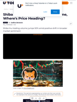 Shiba Inu Skyrockets 50% in Volume, Where's Price Heading?