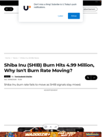 Shiba Inu (SHIB) Burn Hits 4.99 Million, Why Isn't Burn Rate Moving? - U.Today
