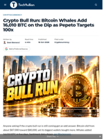 Crypto Bull Run: Bitcoin Whales Add 16,010 BTC on the Dip as Pepeto Targets 100x - TechBullion
