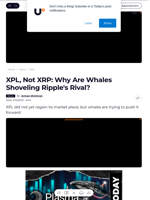 XPL, Not XRP: Why Are Whales Shoveling Ripple's Rival? - U.Today