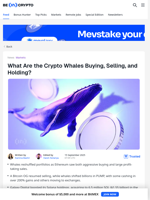 Where Are Crypto Whales Putting Their Money Today?
