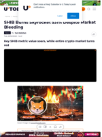 SHIB Burns Skyrocket 531% Despite Market Bleeding